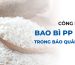 Công dụng của bao PP dệt bảo quản gạo